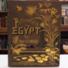 Egypt-Descriptive-Historical-and-Picturesque-Ebers-Georg-Clara-Bell-004503-2