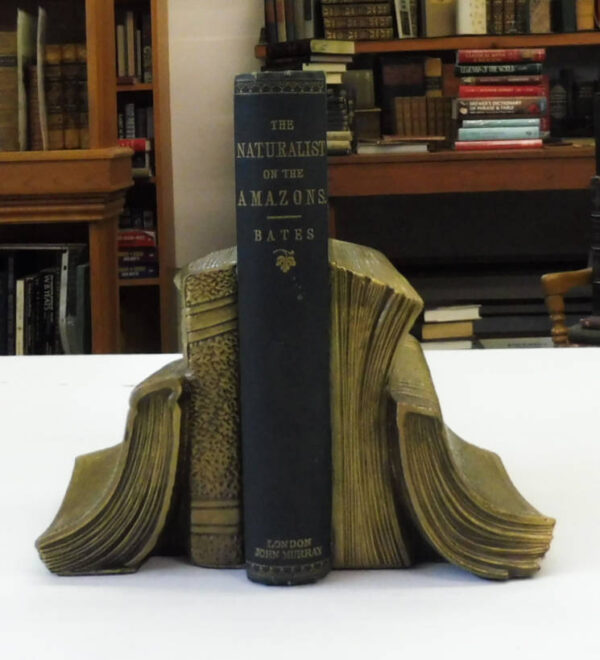 The-Naturalist-on-the-River-Amazons-Henry-Walter-Bates-004734-1