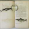 The-Compleat-Angler-of-Izaak-Walton-Charles Cotton-004868-5