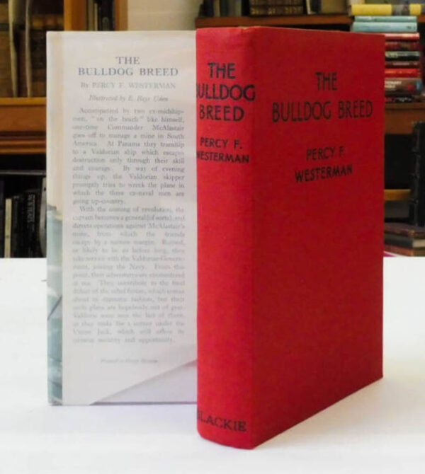 The-Bulldog-Breed-Westerman-Percy-F-004775-2