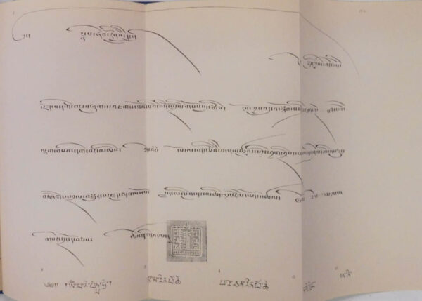 An-Account-of-an-Embassy-to-the-Court-of-the-Teshoo-Lama-Turner-Capt-Samuel-005034-4