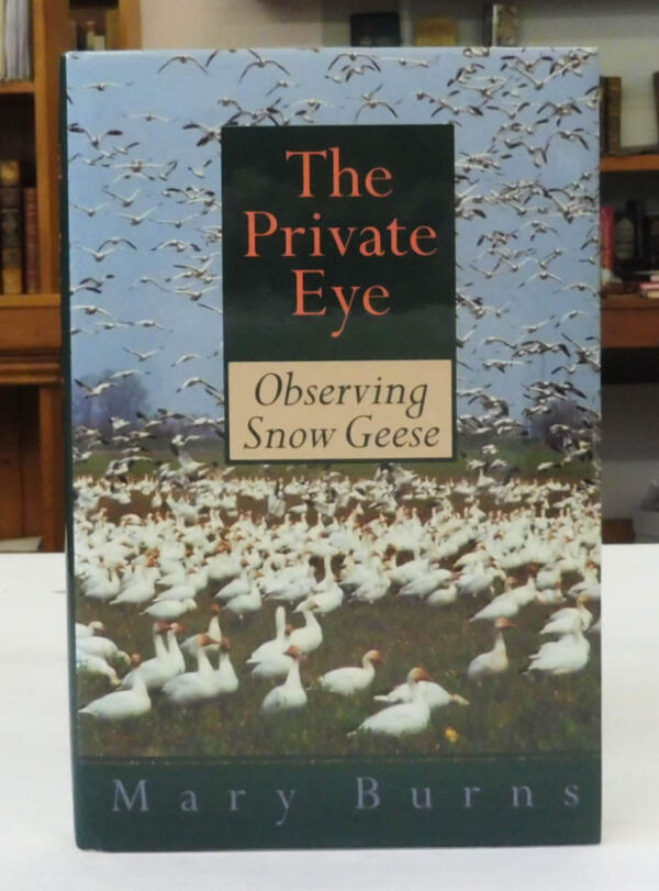 The-Private-Eye-Observing-Snow-Geese-Burns-Mary-005131