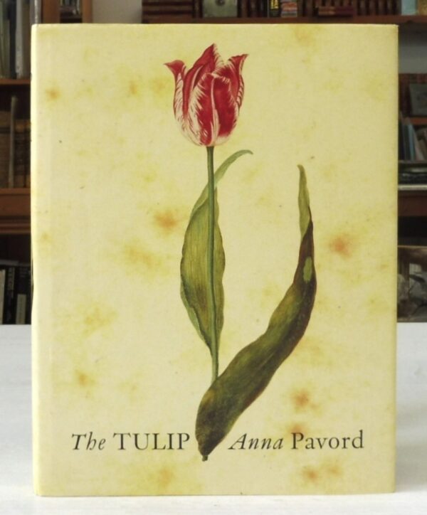 The-Tulip-Anna-Pavord-005475