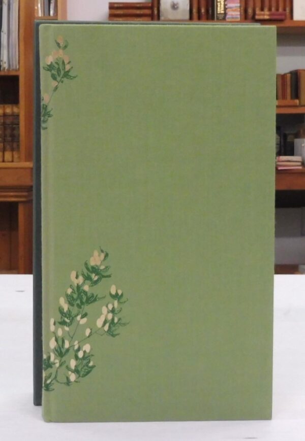 The-Greengage-Summer-Rumer-Godden-005342-1