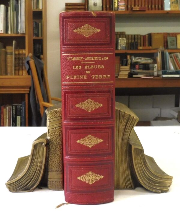 Les-fleurs-de-pleine-terre-comprenant-Vilmorin-Andrieux-005569