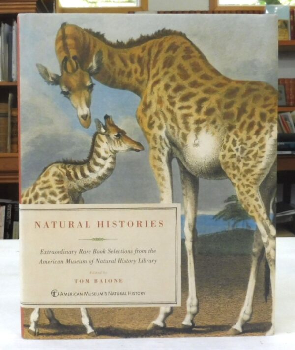 Natural-Histories-Baione-Tom-005555