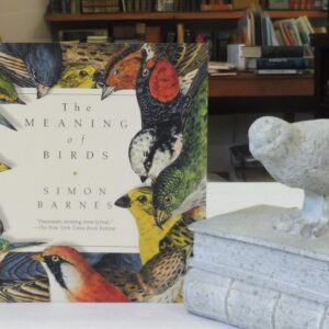 The Meaning of Birds, Barnes, Simon