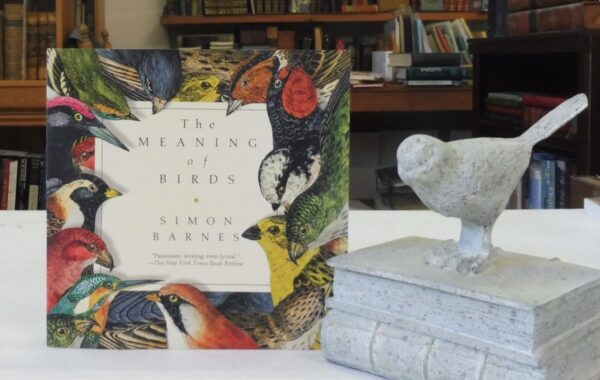 The-Meaning-of-Birds-Barnes-Simon-005543