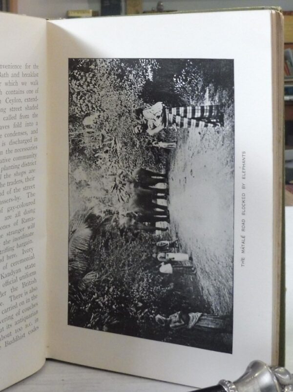 Golden-Tips-A-Description-of-Ceylon-and-its-Great-Tea-Industry-Cave-Henry- W-005788-3