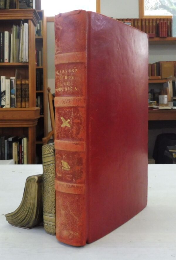 Illustrations-of-the-Birds-of-California-Texas-Oregon-British-and-Russian-America-John-Cassin-5868-0-1